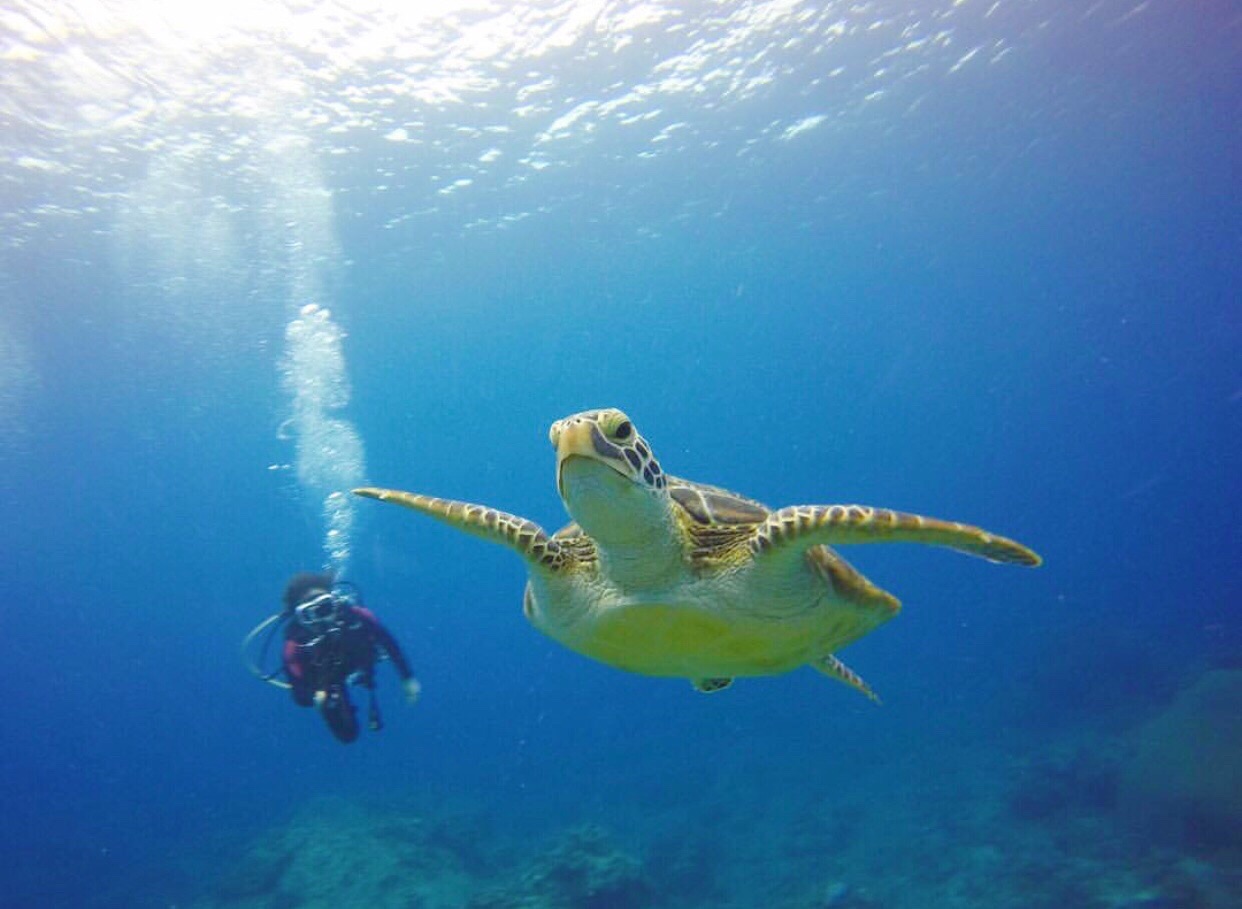 綠島潛水行程推薦