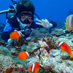 綠島體驗潛水